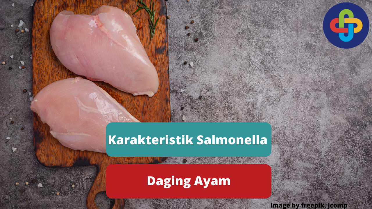 Berikut Ini Penjelasan Karakteristik Salmonella Pada Daging Ayam